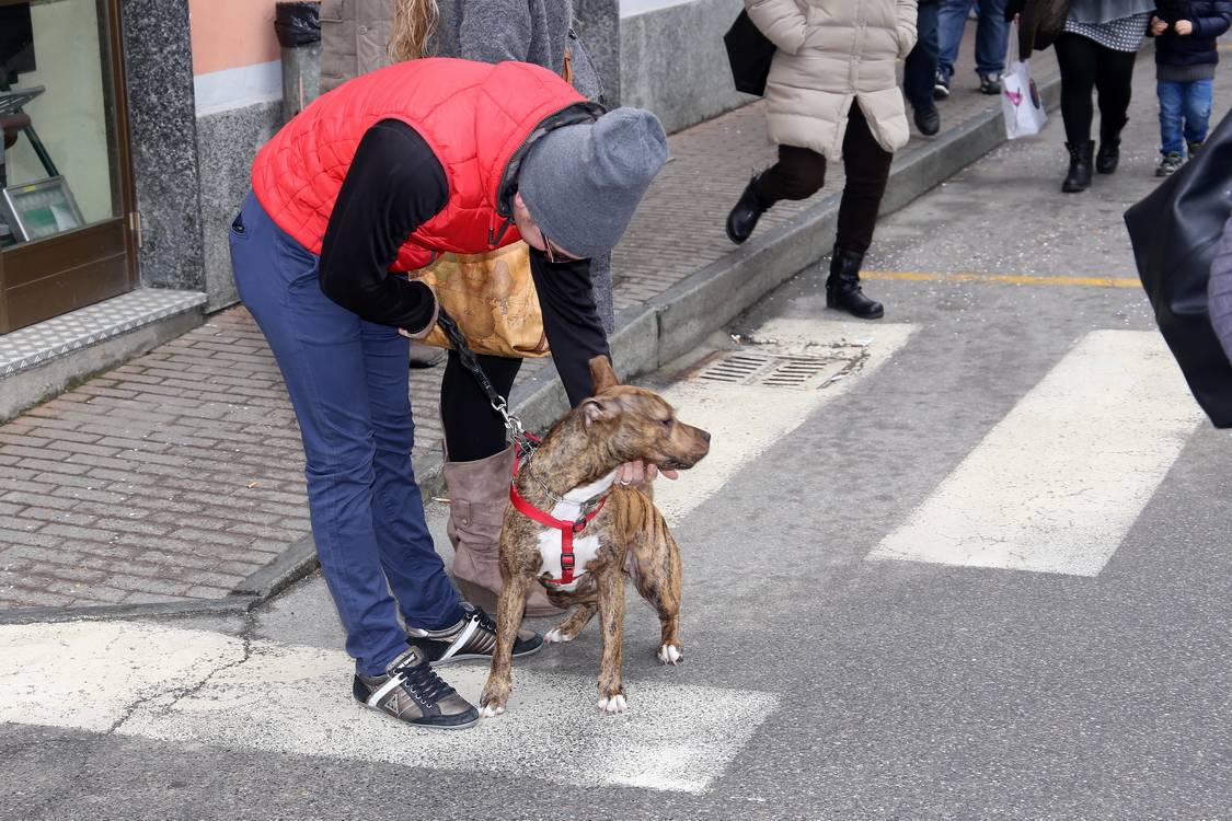 Carnevale 2016_077.JPG